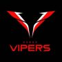 XFL Update: Vegas Vipers Changes, NFL Executives Endorse XFL
