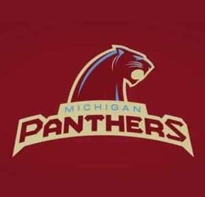 Michigan Panthers Icon