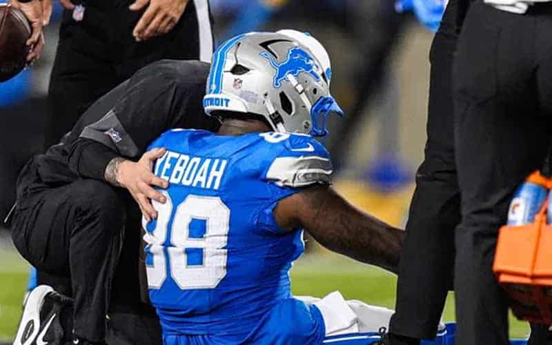 Lions injury on field