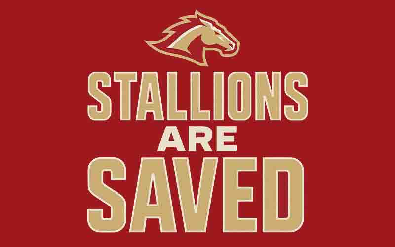 Stallions are saved